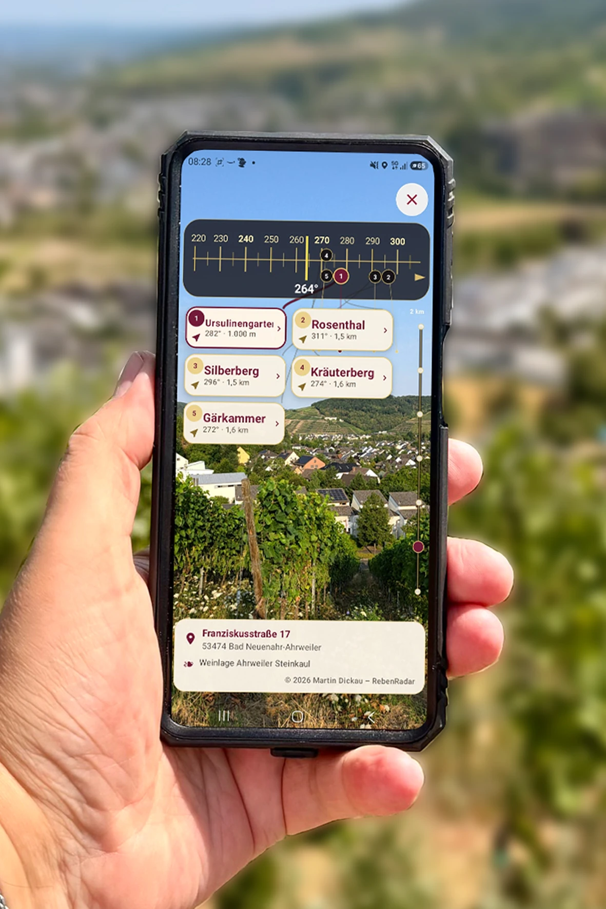 RebenRadar wird mit dem Smartphone direkt im Weinberg genutzt
